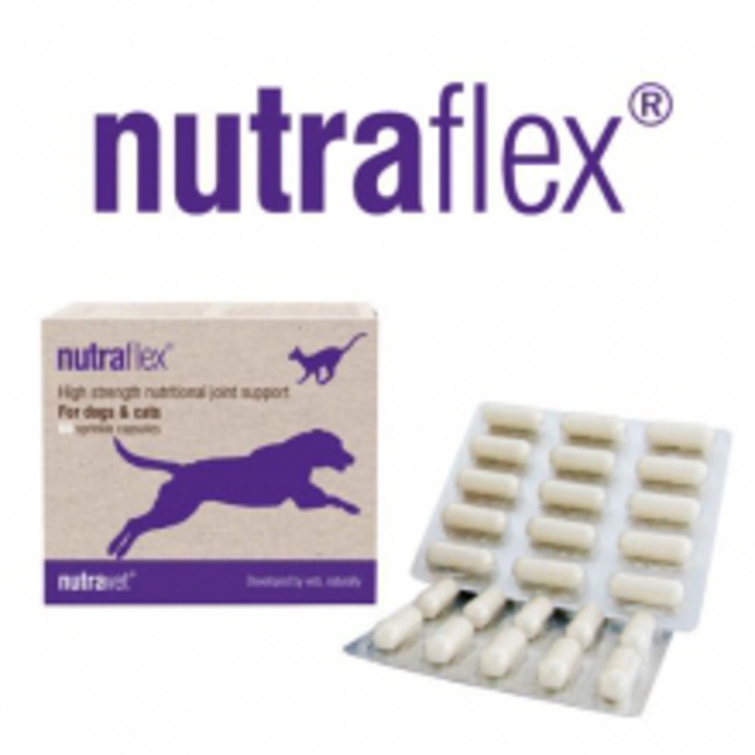 Nutraflex for Cats & Dogs Joint Support - 60 capsules image 0